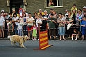 Torino_24_05_2009FestaAmbiente_094