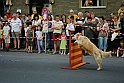 Torino_24_05_2009FestaAmbiente_096