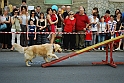 Torino_24_05_2009FestaAmbiente_098