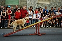 Torino_24_05_2009FestaAmbiente_099