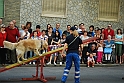 Torino_24_05_2009FestaAmbiente_100