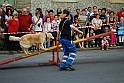 Torino_24_05_2009FestaAmbiente_102