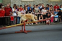 Torino_24_05_2009FestaAmbiente_103