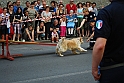 Torino_24_05_2009FestaAmbiente_104