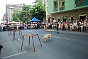 Torino_24_05_2009FestaAmbiente_111