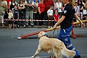 Torino_24_05_2009FestaAmbiente_121