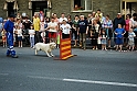 Torino_24_05_2009FestaAmbiente_129