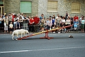 Torino_24_05_2009FestaAmbiente_132