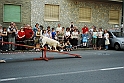 Torino_24_05_2009FestaAmbiente_134