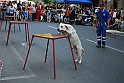 Torino_24_05_2009FestaAmbiente_136