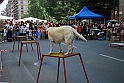 Torino_24_05_2009FestaAmbiente_137