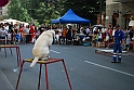 Torino_24_05_2009FestaAmbiente_138