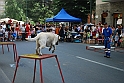 Torino_24_05_2009FestaAmbiente_139