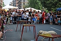 Torino_24_05_2009FestaAmbiente_145