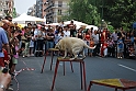 Torino_24_05_2009FestaAmbiente_147