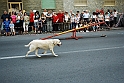 Torino_24_05_2009FestaAmbiente_148