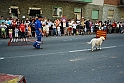 Torino_24_05_2009FestaAmbiente_151