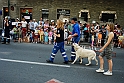 Torino_24_05_2009FestaAmbiente_152