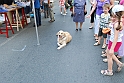 Torino_24_05_2009FestaAmbiente_159