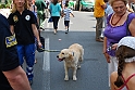 Torino_24_05_2009FestaAmbiente_161