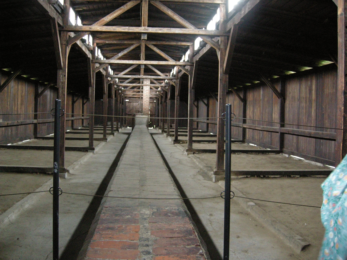 Birkenau-5.jpg