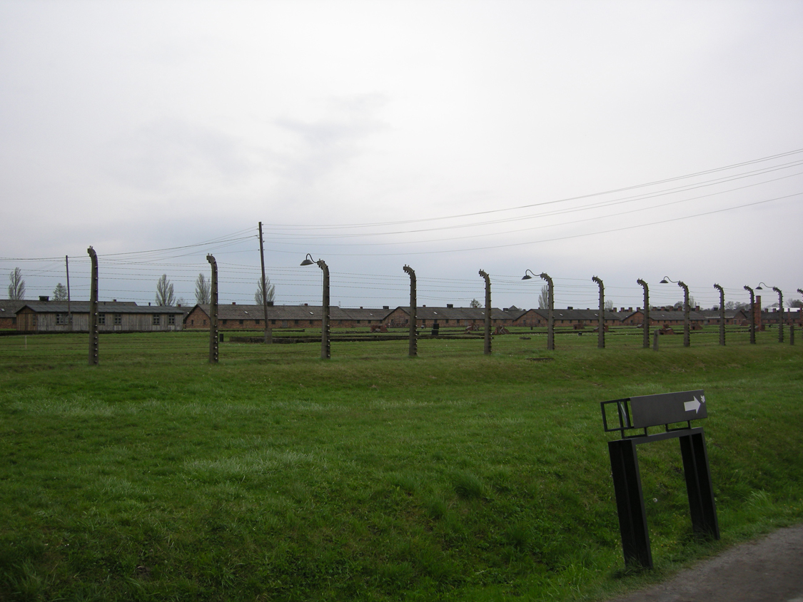 Birkenau-7.jpg