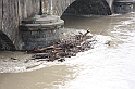 PienaPoMarzo2009_02