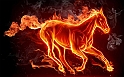 Fire_Horse