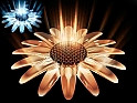 Flower_3d_digital_wallpaper