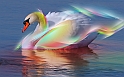 Windows_7_-_Swan