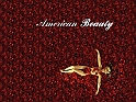 americanbeauty_1024