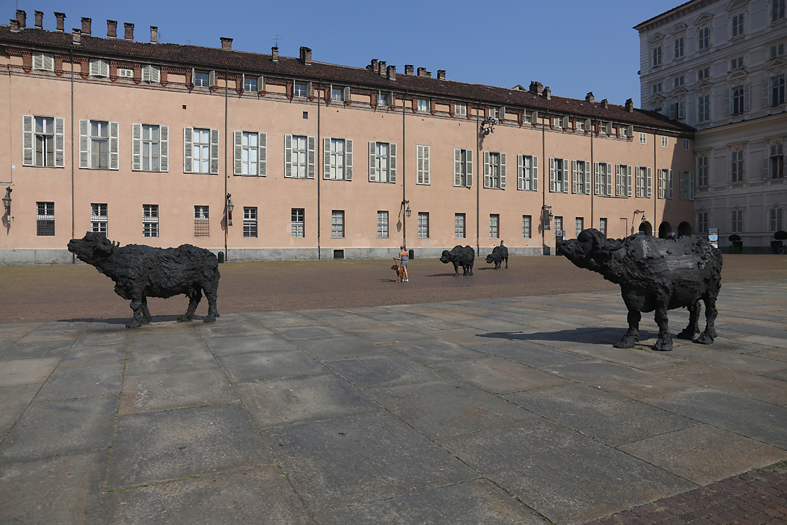 ArteAlleCorti_028.jpg - Davide RIVALTA - Bufale mediterranee - Palazzo Reale