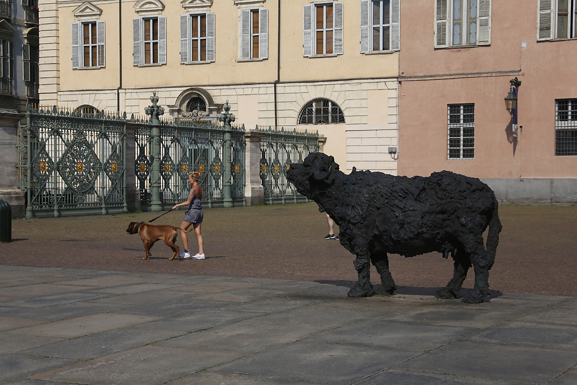 ArteAlleCorti_029.jpg - Davide RIVALTA - Bufale mediterranee - Palazzo Reale