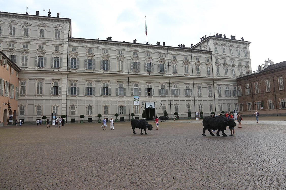 ArteAlleCorti_035.jpg - Davide RIVALTA - Bufale mediterranee - Palazzo Reale