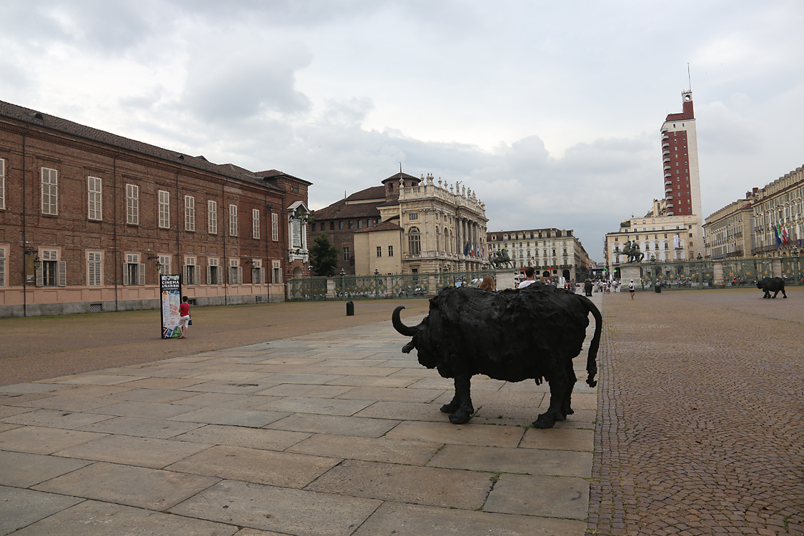 ArteAlleCorti_036.jpg - Davide RIVALTA - Bufale mediterranee - Palazzo Reale