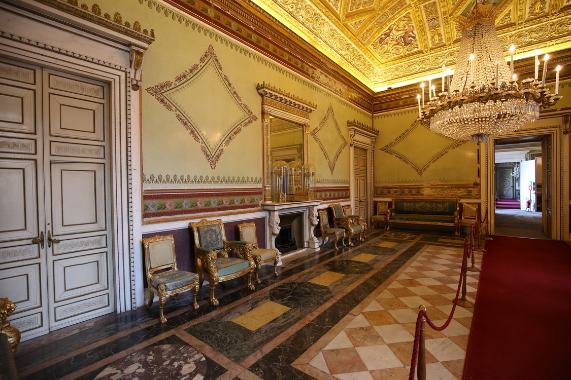 CastelloRacconigi_043.JPG - Sala del Ricevimento  I simboli del sovrano sono presenti ovunque: teste e zampe di leone scolpite connotano non solo i sofà e le poltrone, opera dell'ebanista Gabriele Capello detto il Moncalvo, ma anche il camino e le consolles, tutti arredi disegnati appositamente dal Palagi per la sala