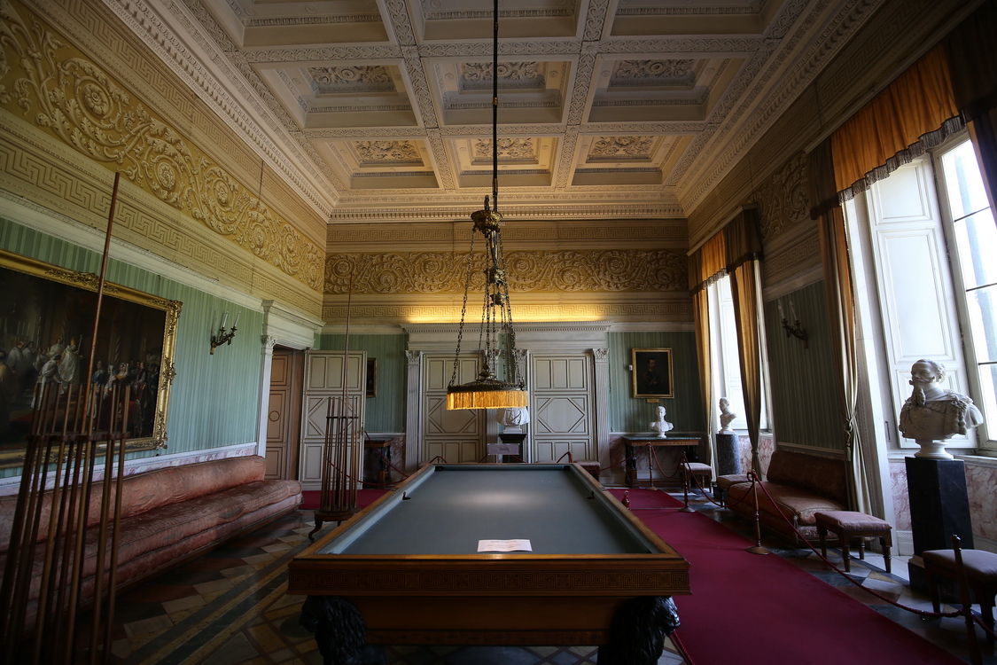 CastelloRacconigi_059.JPG - Sala biliardo  Al centro della sala il grande tavolo da gioco in legno di noce d'America, sorretto da imponenti leoni in bronzo, disegnato da Palagi e realizzato da Capello, era corredato dal supporto per le stecche, in legno di acero con intarsi in palissandro.