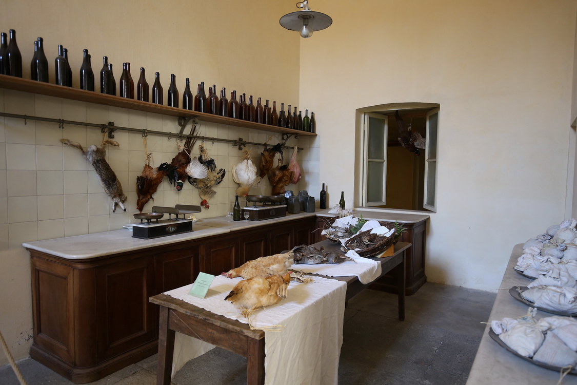 CastelloRacconigi_150.JPG - Le cucine   La selvaggina e il vino