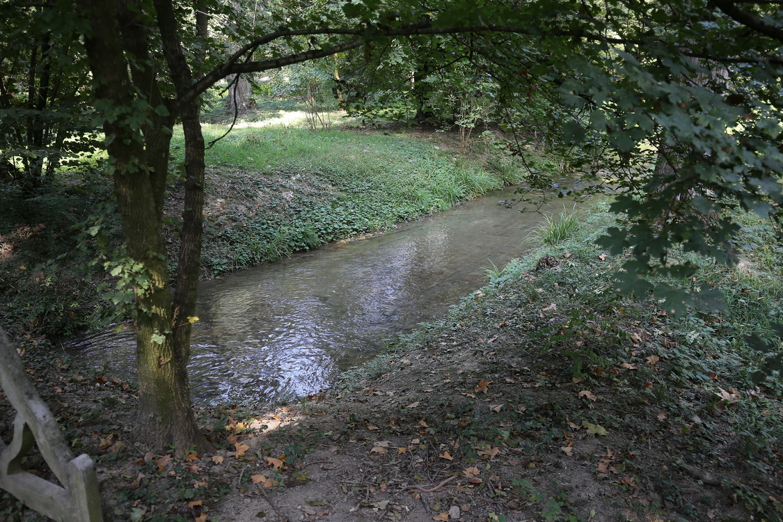 CastelloRacconigi_177.JPG - Il parco - Un ruscello