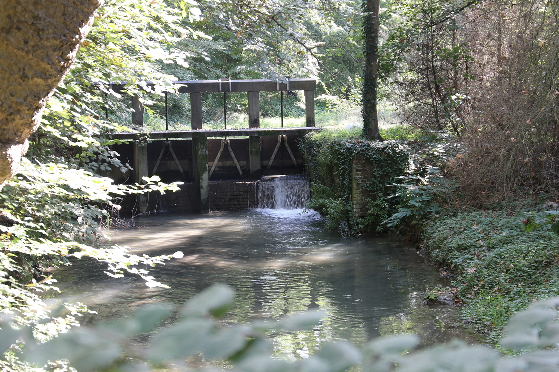 CastelloRacconigi_193.JPG - Il Parco - Chiuse per l'acqua