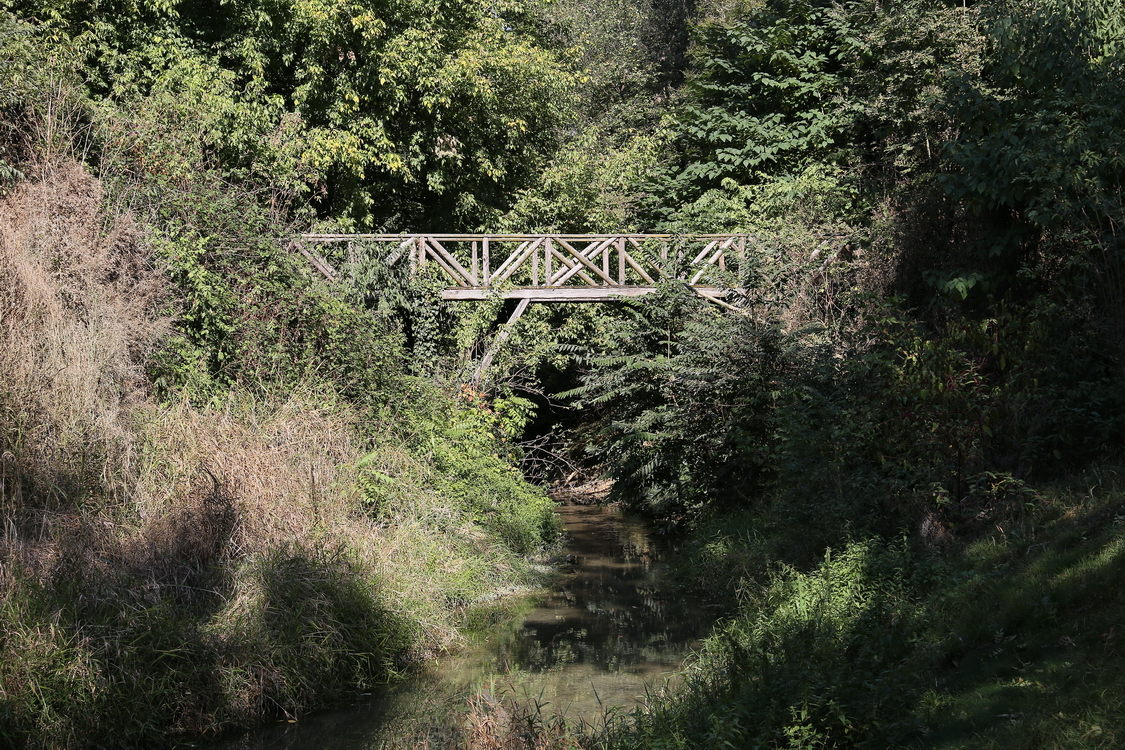 CastelloRacconigi_198.JPG - Il Parco - Piccolo ponte