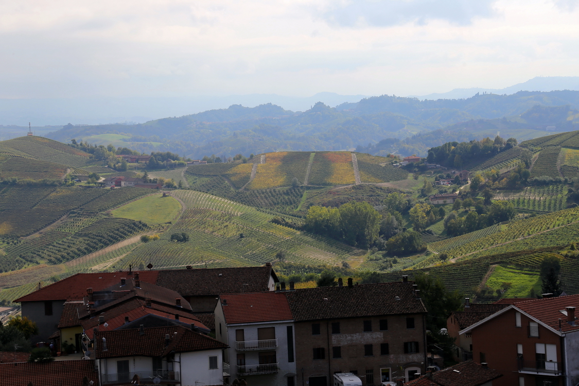 Cisterna_07.JPG - Colline ricche di vigne e boschi