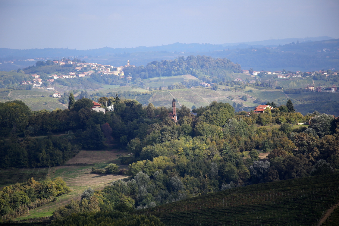 Cisterna_08.JPG - Colline ricche di vigne e boschi tra cui troneggia il campanile della chiesa del Torrazzo