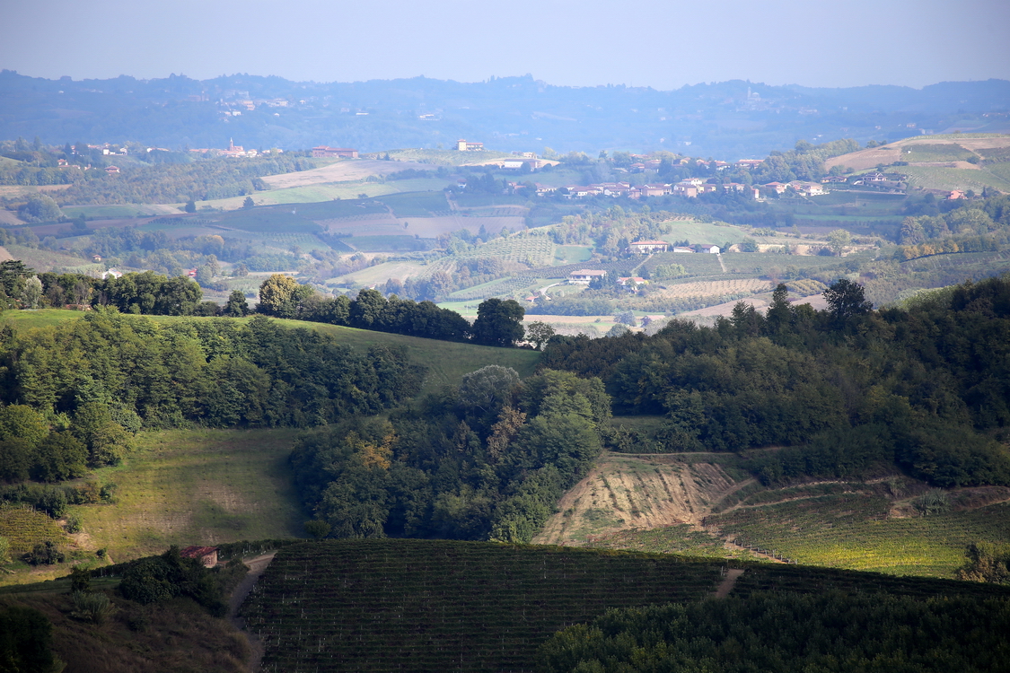 Cisterna_09.JPG - La strada di San Filippo