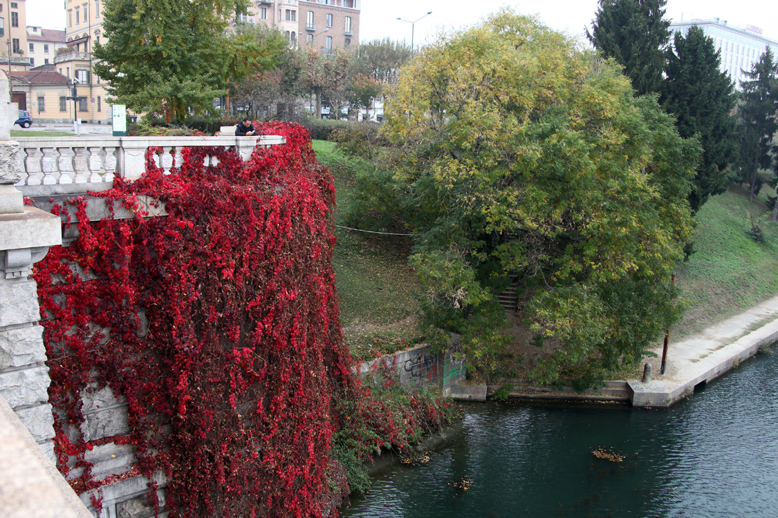 InAutunno_09.jpg - Diventa colore anche il grigio della pietra