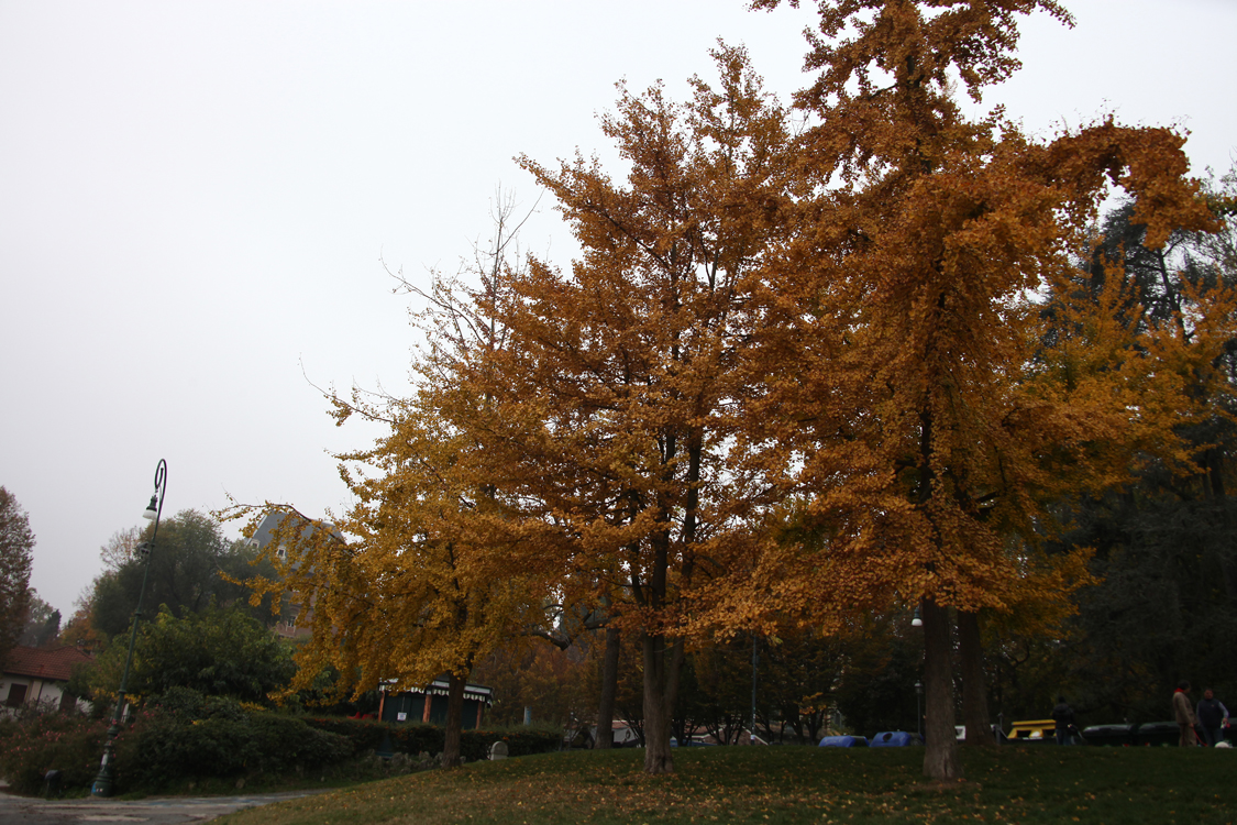 InAutunno_25.jpg - Sfumature