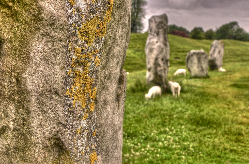 65.jpg - Prima che il viaggio volgesse al termine c'era ancora tempo per un luogo dalla storia molto antica. Avebury è un piccolo villaggio che sorge al centro del più grande anello di pietre del mondo (348 metri di diametro). In questo sito archeologico le pecore brucano l'erba intorno a questi megaliti misteriosamente posizionati in un cerchio più di 4500 anni fa.