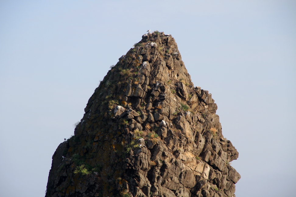 Sicilia_063.JPG - i faraglioni e l'isola Lachea con i massi scagliati dal gigante Polifemo contro Ulisse.