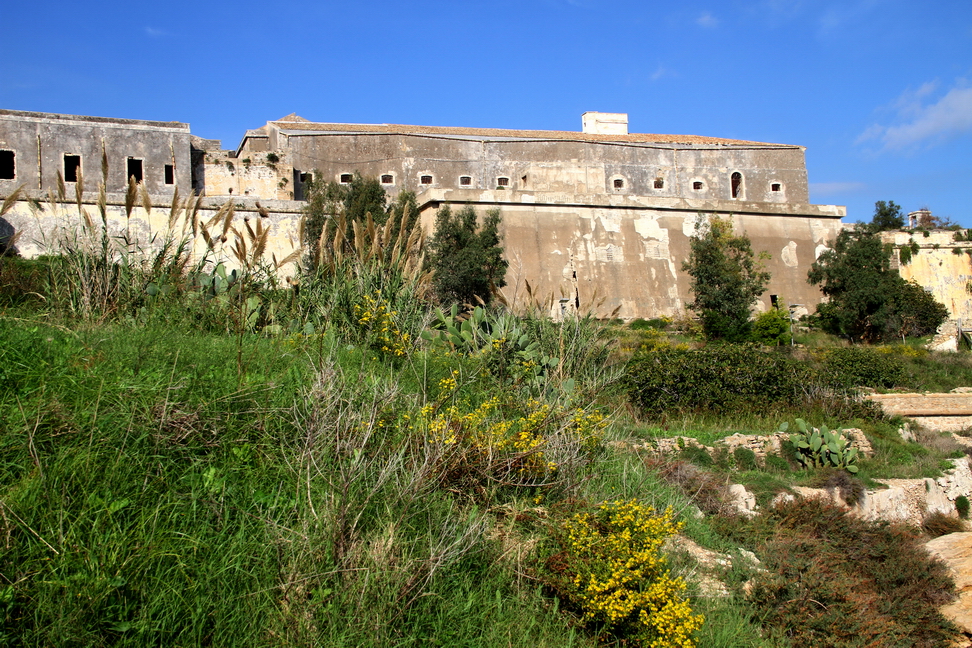 Sicilia_108.JPG - e fanno da cornice al verde e ai fiori...