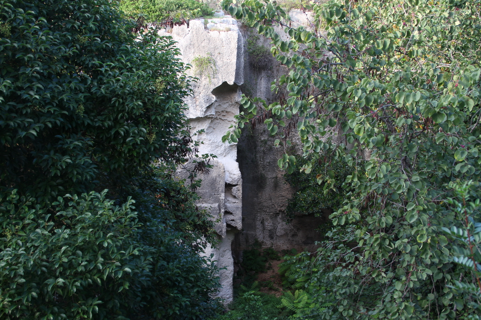 Sicilia_176.JPG - tra una fitta vegetazione...